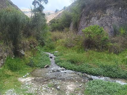 Water stream