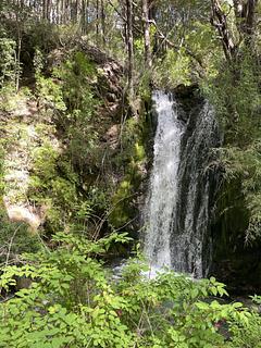 Waterfall Inmigrante