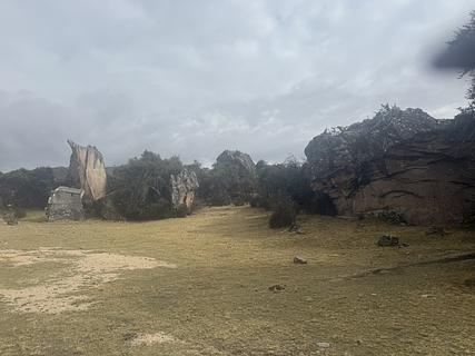 Wave Rock Camp