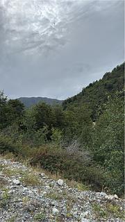 Wild camping ao lado da estrada